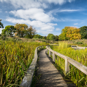 Beveridge Park bridge