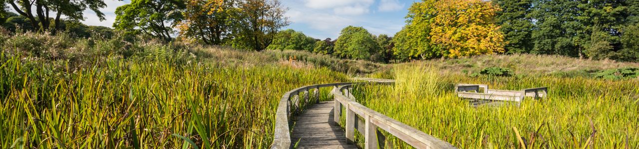 Beveridge Park bridge