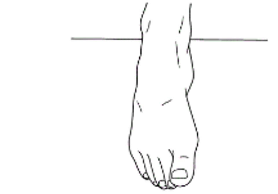 Icon of foot