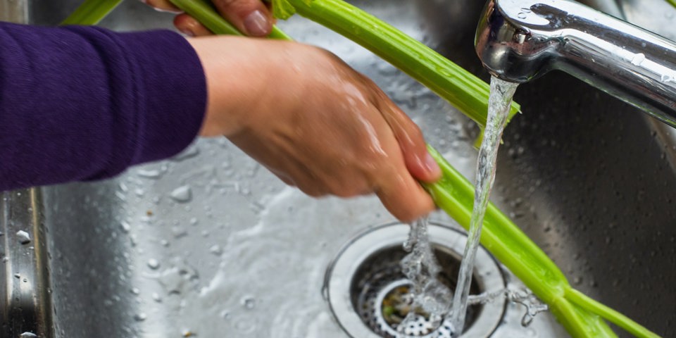 person washing celery