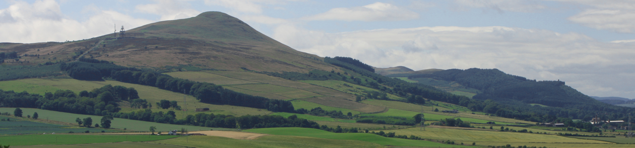 lomond hills